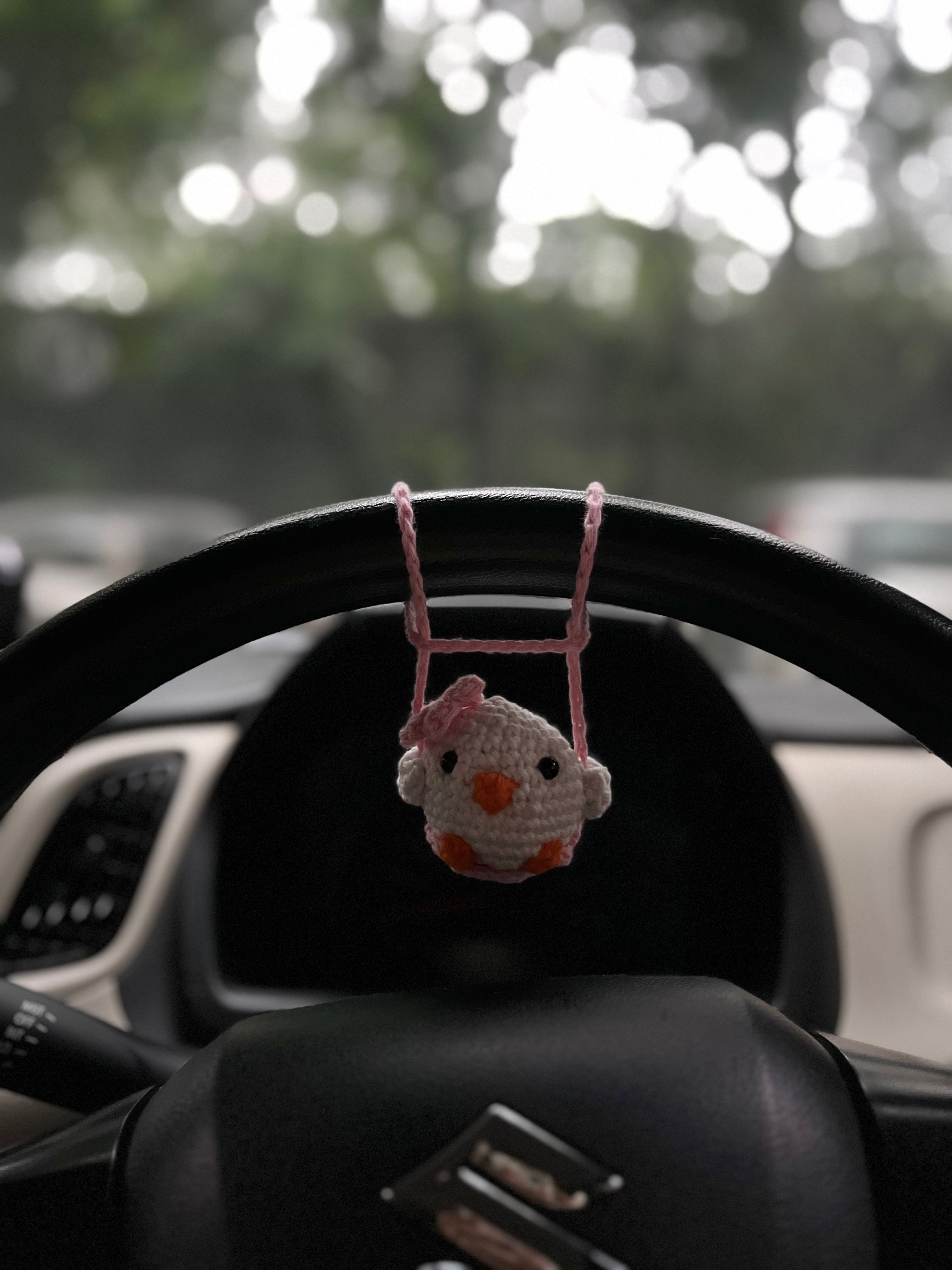 Duck Car Hanger