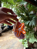 Sea Shells Charm